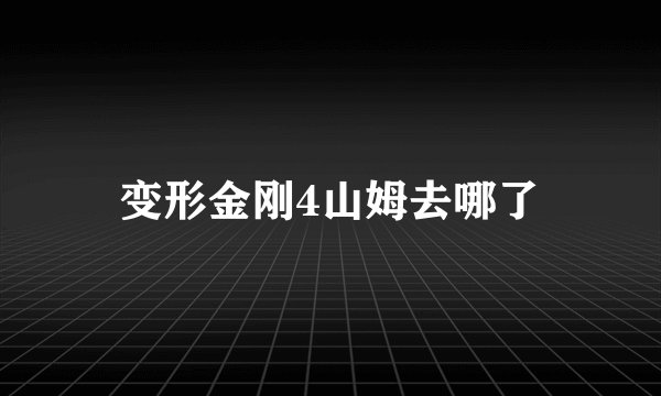 变形金刚4山姆去哪了