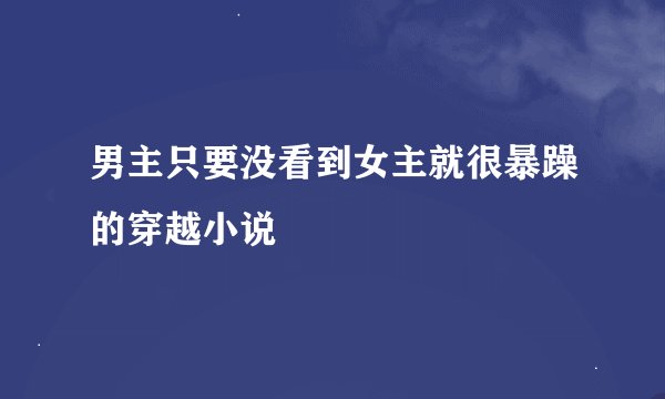 男主只要没看到女主就很暴躁的穿越小说