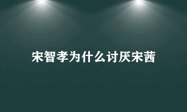 宋智孝为什么讨厌宋茜