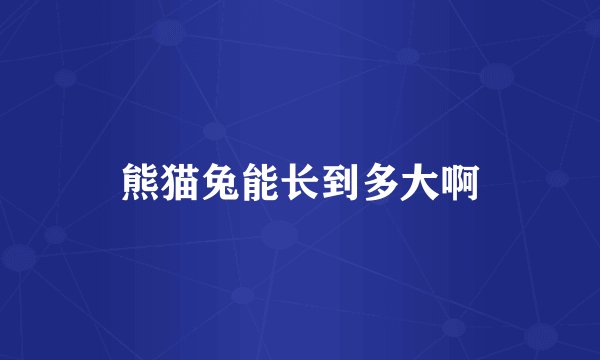 熊猫兔能长到多大啊