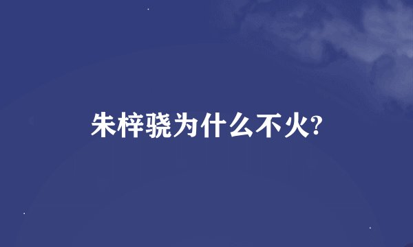 朱梓骁为什么不火?