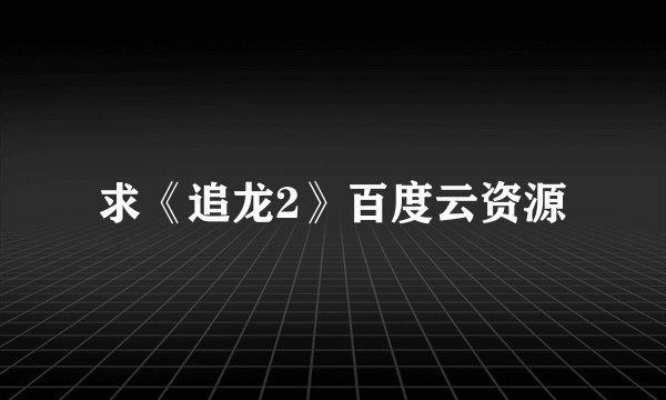 求《追龙2》百度云资源
