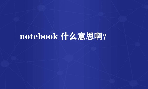 notebook 什么意思啊？