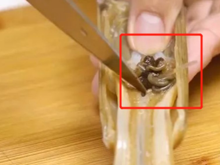 蛏子哪些部位不能吃图解