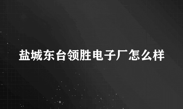 盐城东台领胜电子厂怎么样