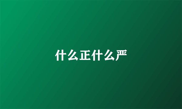 什么正什么严