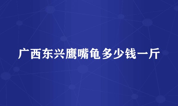 广西东兴鹰嘴龟多少钱一斤