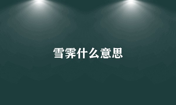 雪霁什么意思
