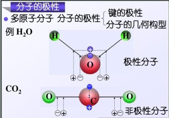 什么是分子内氢键？