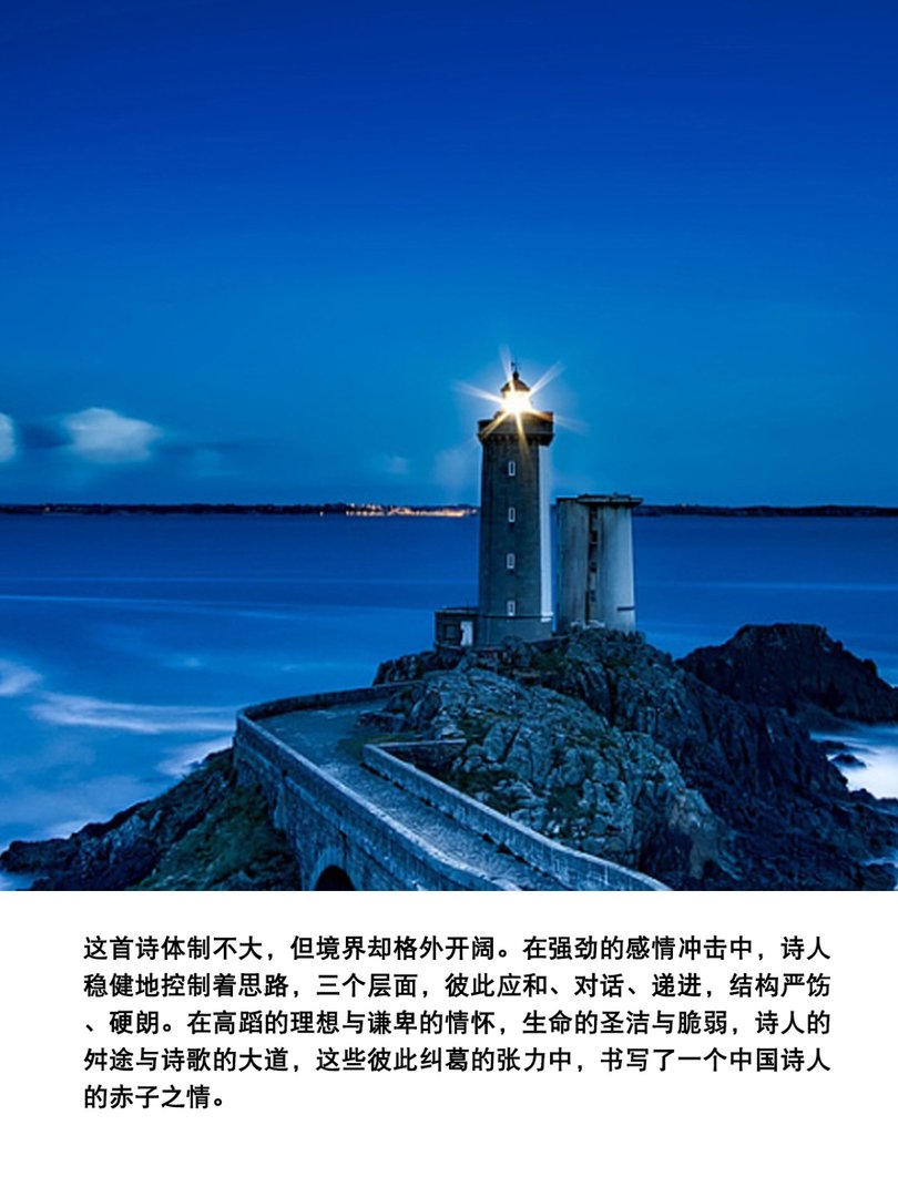 以梦为马,不负韶华全诗是什么?