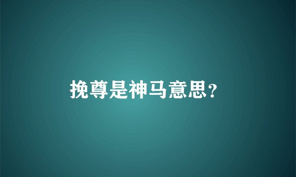 挽尊是神马意思？
