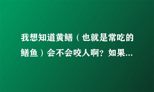 我想知道黄鳝（也就是常吃的鳝鱼）会不会咬人啊？如果会咬人，那有没有毒呢？