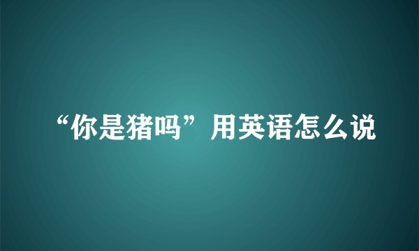 “你是猪吗”用英语怎么说