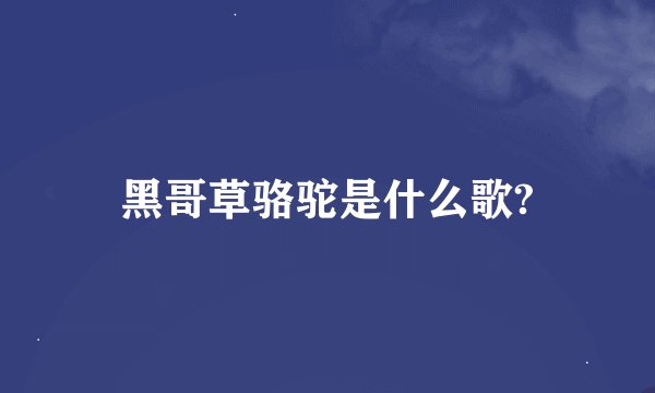 黑哥草骆驼是什么歌?