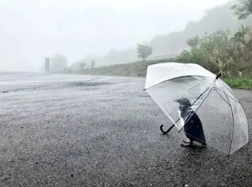 风里雨里下一句接什么?