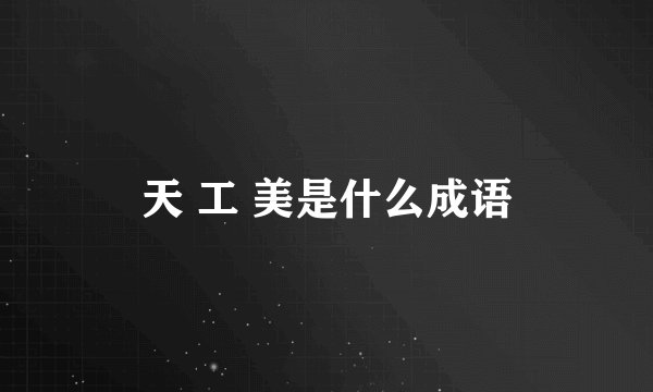 天 工 美是什么成语