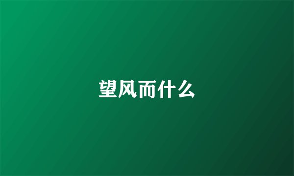 望风而什么