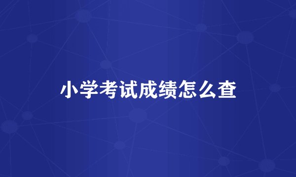 小学考试成绩怎么查