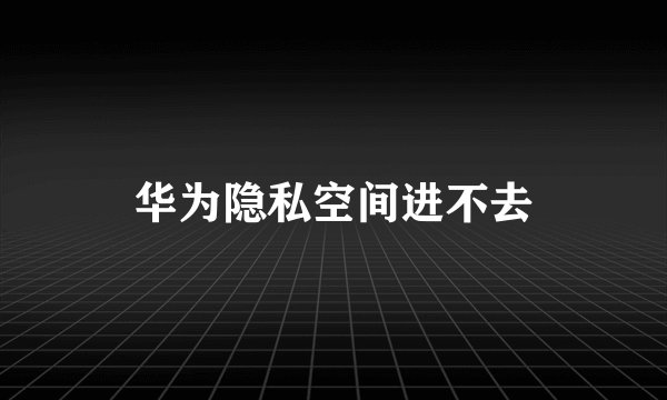 华为隐私空间进不去