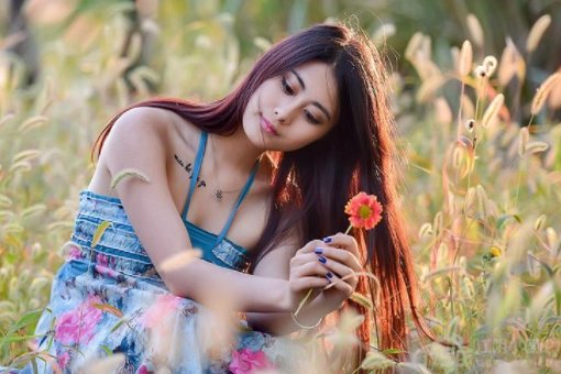 女孩说本来无一物何处惹尘埃,什么意思?