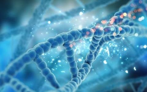生物化学中的ACAT是什么