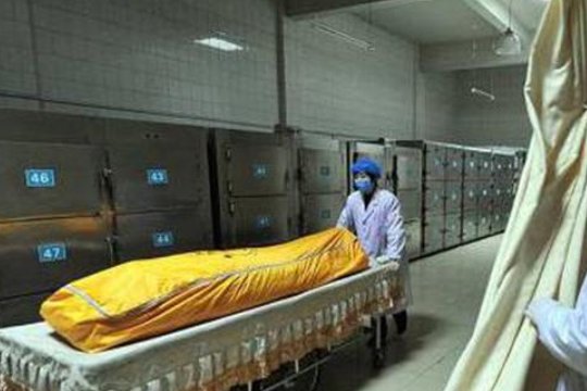 当搬尸工有什么危害？
