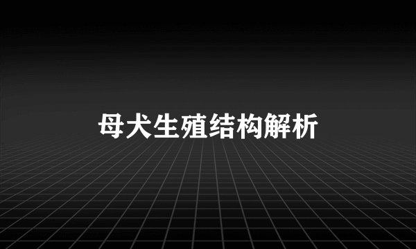 母犬生殖结构解析