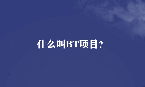 什么叫BT项目？