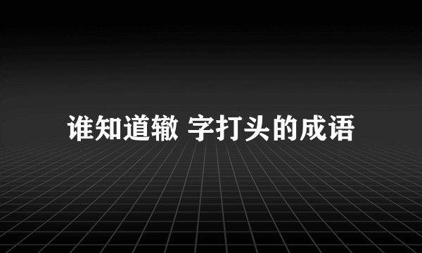 谁知道辙 字打头的成语