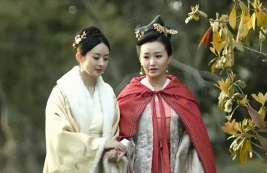 古装剧《知否》中，张大娘子是谁扮演的？