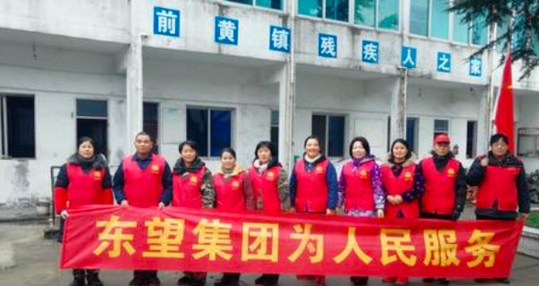 东望集团是个什么组织