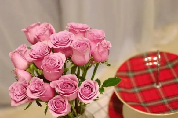 植物园里有什么