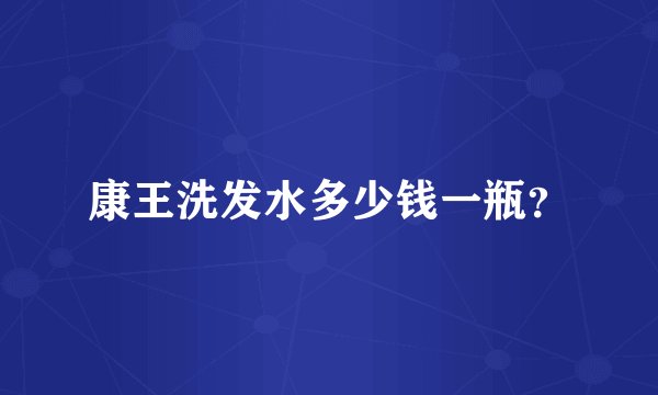 康王洗发水多少钱一瓶？