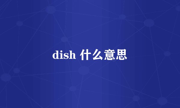 dish 什么意思