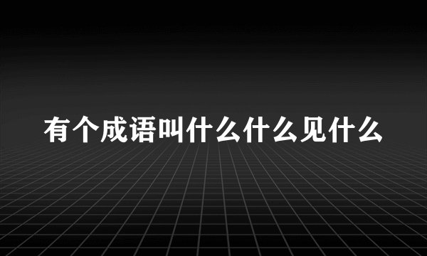 有个成语叫什么什么见什么
