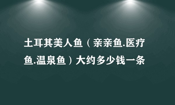 土耳其美人鱼（亲亲鱼.医疗鱼.温泉鱼）大约多少钱一条