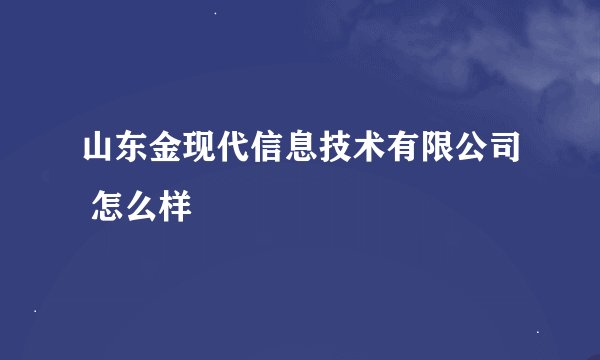 山东金现代信息技术有限公司 怎么样