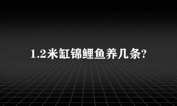 1.2米缸锦鲤鱼养几条?
