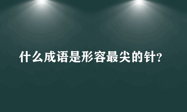 什么成语是形容最尖的针?