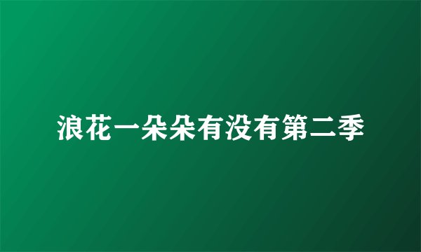 浪花一朵朵有没有第二季