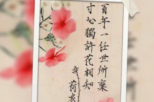 愿有岁月可回首全诗是什么?