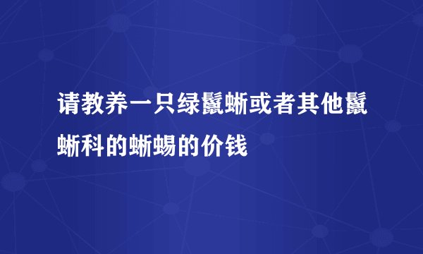 请教养一只绿鬣蜥或者其他鬣蜥科的蜥蜴的价钱