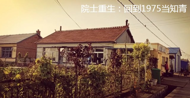 男主带空间穿越粮票年代的小说