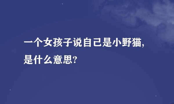 一个女孩子说自己是小野猫,是什么意思?