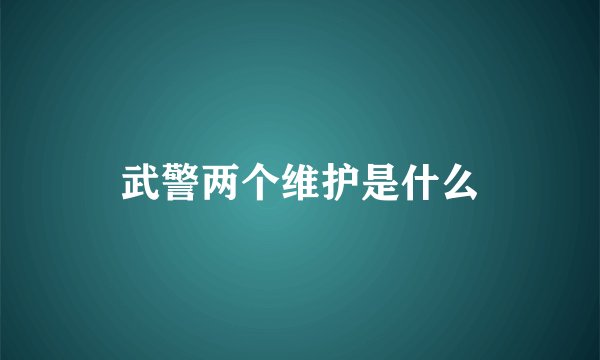 武警两个维护是什么