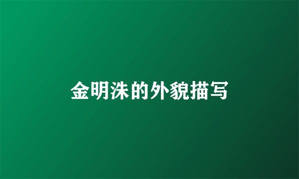 金明洙的外貌描写