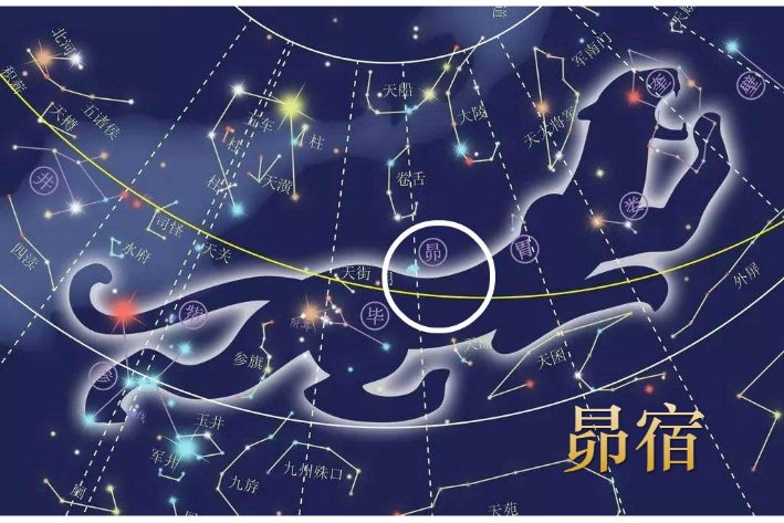 美如画打一个什么生肖？