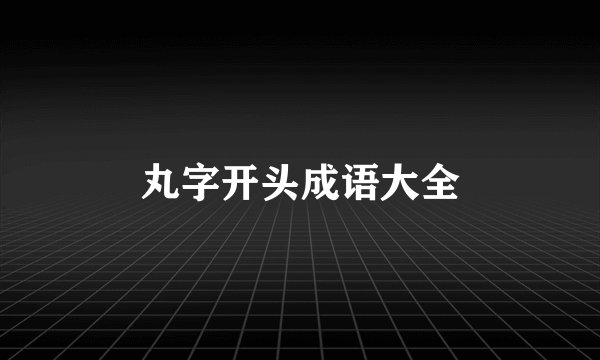 丸字开头成语大全