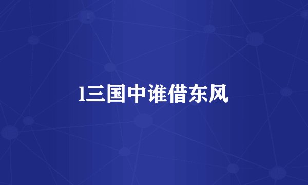 l三国中谁借东风