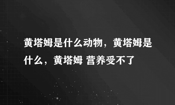 黄塔姆是什么动物，黄塔姆是什么，黄塔姆 营养受不了